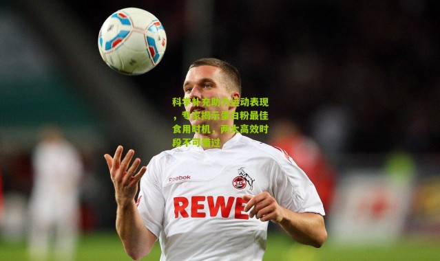 科学补充助力运动表现，专家揭示蛋白粉最佳食用时机，两大高效时段不可错过