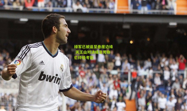 绿军已被逼至悬崖边缘 天王山对决成生死存亡终极考验