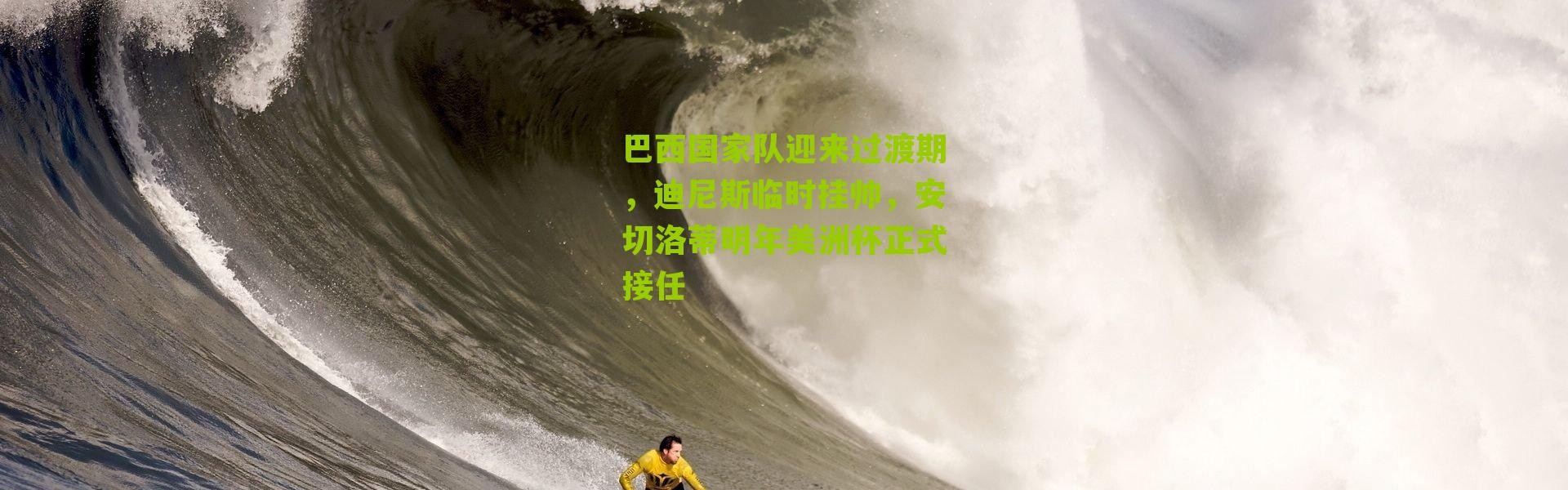 巴西国家队迎来过渡期，迪尼斯临时挂帅，安切洛蒂明年美洲杯正式接任