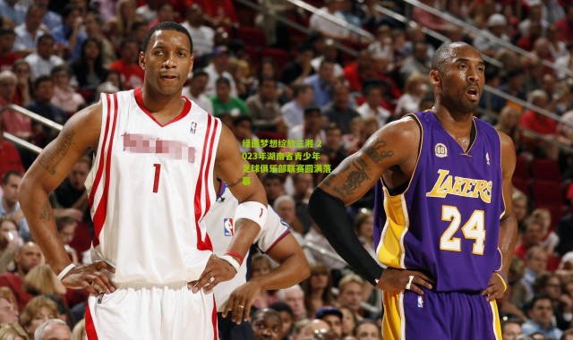 绿茵梦想绽放三湘 2023年湖南省青少年足球俱乐部联赛圆满落幕