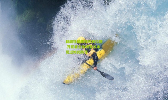 鹈鹕铁桶阵锁死利拉德 开拓者主帅坦言从未见过如此防守