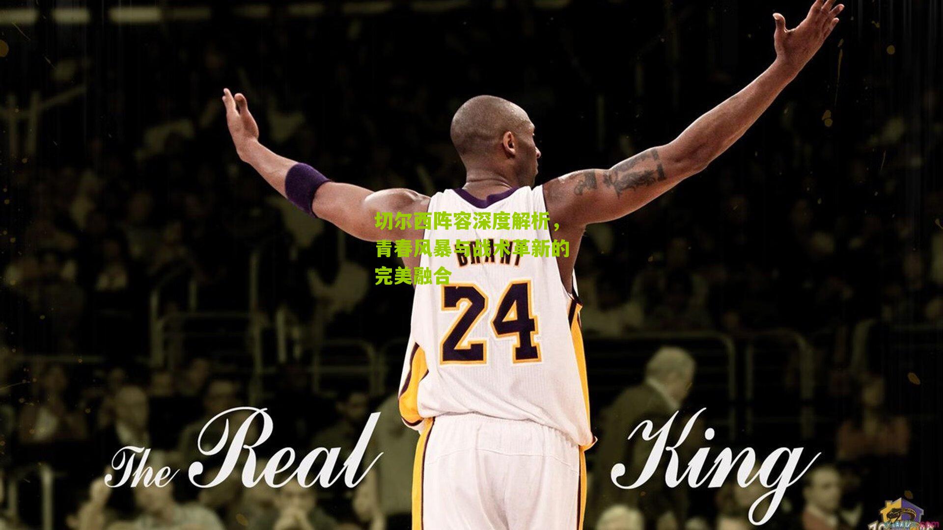 切尔西阵容深度解析,青春风暴与战术革新的完美融合